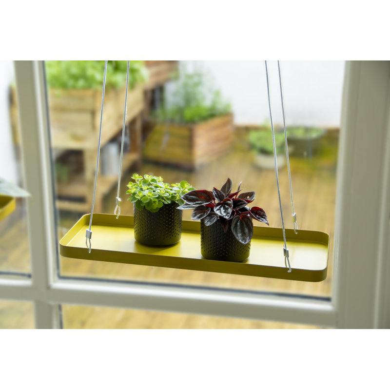 Plant Tray Hanging Rect, Gold, 2.1cm H x 38cm W x 15cm D