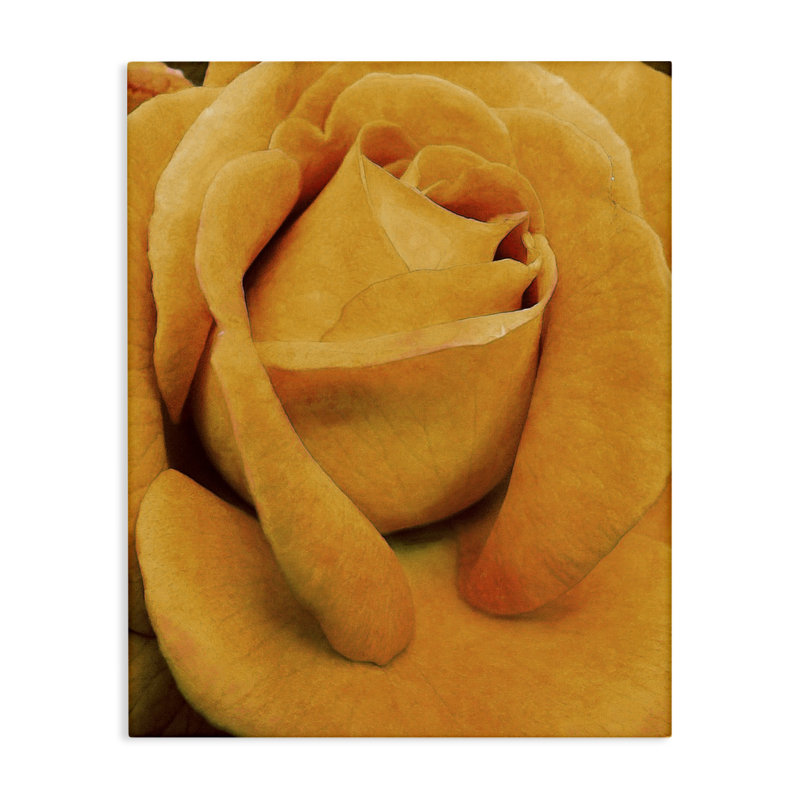 «Yellow Rose Close Up», art mural par Alonzo Saunders, H 20 po x l 16 po
