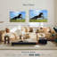 Brampt superbe cheval frison-107863170