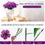 Arrangement