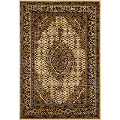 Palfrey Oriental Indoor Rug