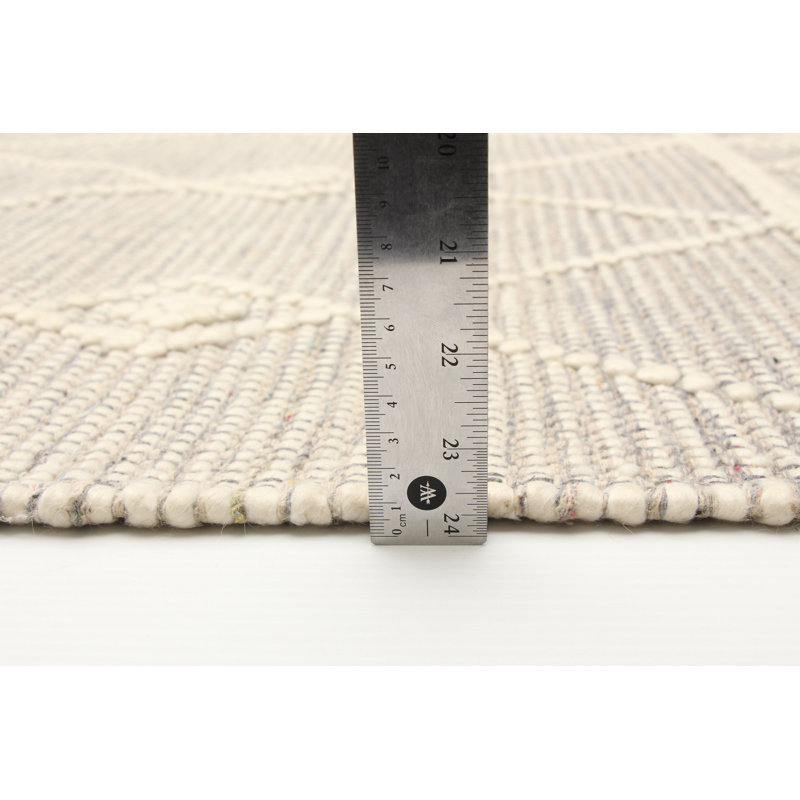 Arshiya Performance Hand Braided Wool Rug