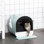 Litière d'intérieur pour chat avec couvercle, 17 po x 17 po x 18,5 po, avec filtre, pour un environnement propre et bien rangé, idéale pour la maison