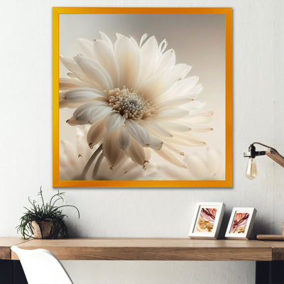 White Gerbera Flowers III - Gerbera Canvas Art