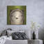 Luxe Baby Art «Baby Hedgehog» par Ryan Fowler, rencontre «Baby Hedgehog» par Ryan Fowler-101616570