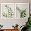 Botanical Wash I - ensemble de 2 reproductions-463140523-463140521-463140522