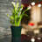 Lilabai Pot Planter-1729276100-1729276107