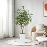 Paislee Artificial Eucalyptus Tree , Faux Eucalyptus Tree with Tall White Planter, Realistic Leaves