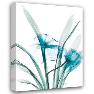 Art sur toile tendu Lark Manor ™, Koetsier, Albert, Aqua Dedrodium Orchid