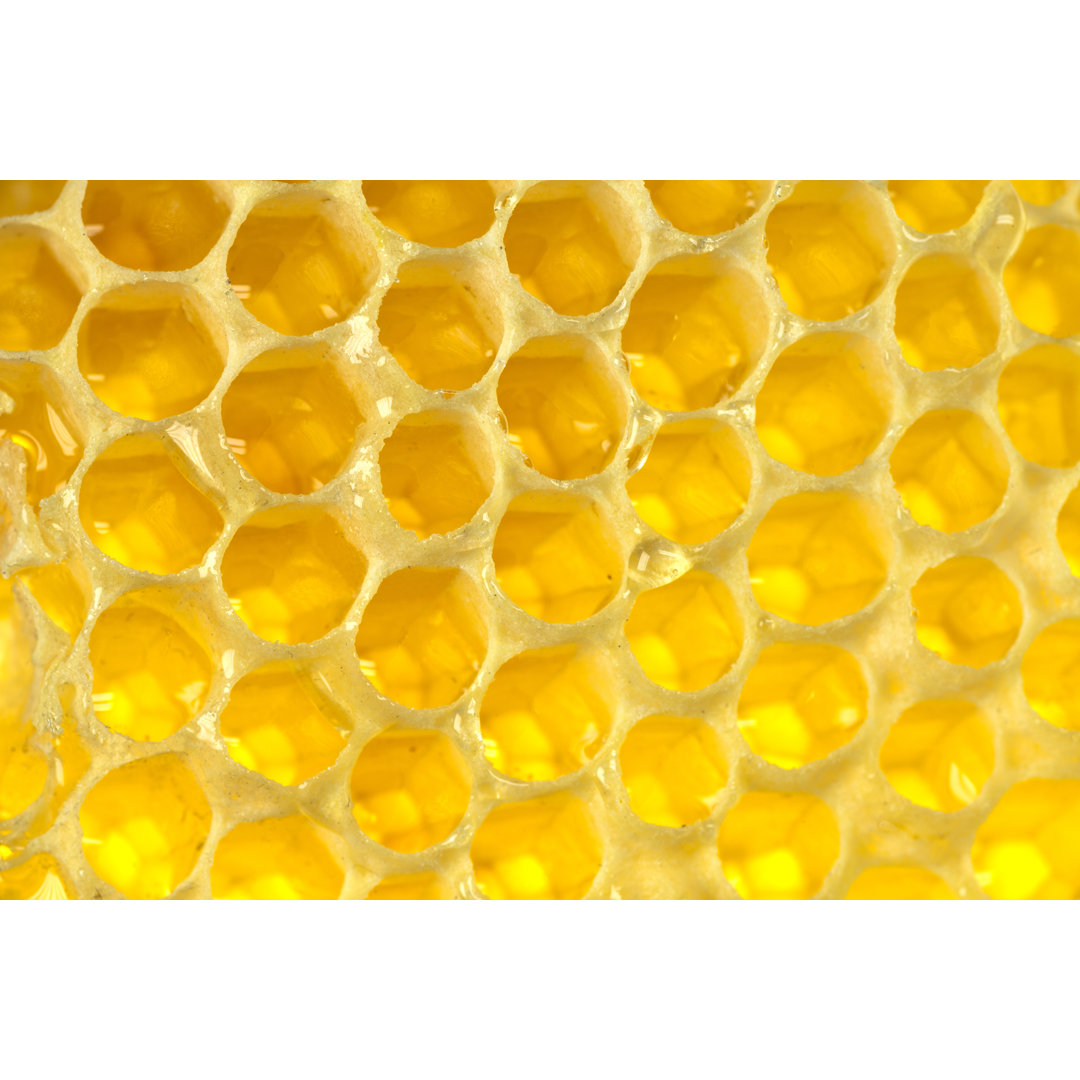 Honey Hive von Operofilm - Kunstdrucke auf Leinwand - Wrapped Canvas