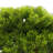 Artificial Bonsai Pine Tree, Realistic Desktop Faux Plant with Pebbles