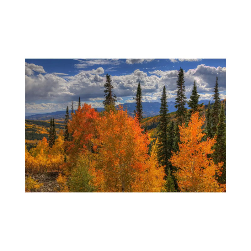Autumn Fire At Ohio Pass - Print, Canvas, 30.48 cm H x 45.72 cm W
