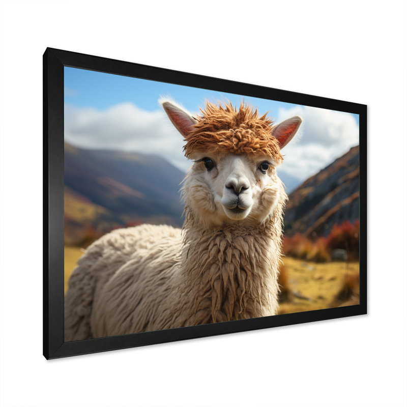 Alpagas Andine Charm - imprimé, H 12 po x l 20 po x P 1 po, Cadre photo noir