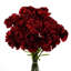 Plastic, Silk Artificial Arrangement-88685011