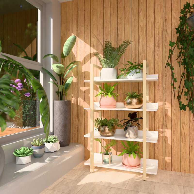 Bibliothèque Multifuction avec cadre en bois massif, plante multicolore debout pour la maison