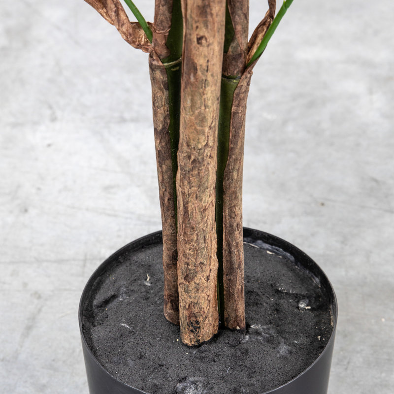 Faux Palm Plant in Pot, 169cm H x 23cm W x 18cm D