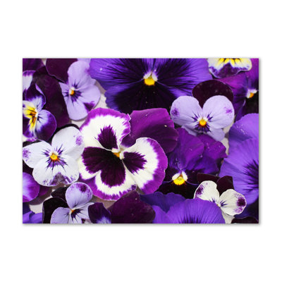 Pansies - Wrapped Canvas Print