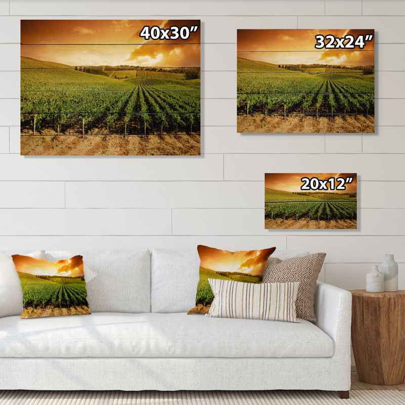 Sunset Vineyard Panorama - Photographie sans cadre sur bois, H 12 po x l 20 po x P 1 po