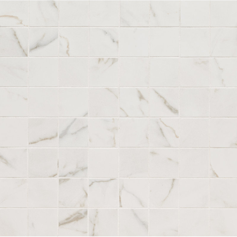 Carrelage de sol et de mur en porcelaine mat aspect marbre 12 po x 12 po Zola, Delia