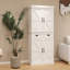 Armoire de rangement 71 po avec 4 portes (2 portes avec supports)
