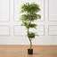 Amee 61" H Creative Shaped Faux Ficus Tree in Pot