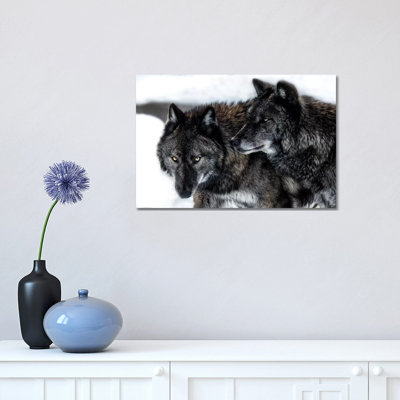" Brothers " by David Gardiner