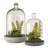 Sydnee 18cm Succulent in Cement Terrarium