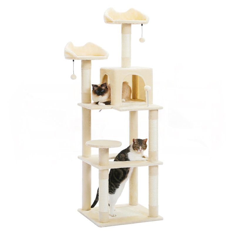 Centre d'activités Ultimate Cat, Beige