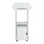Techni Mobili Sit-to-Stand Rolling Adjustable Laptop Cart With Storage