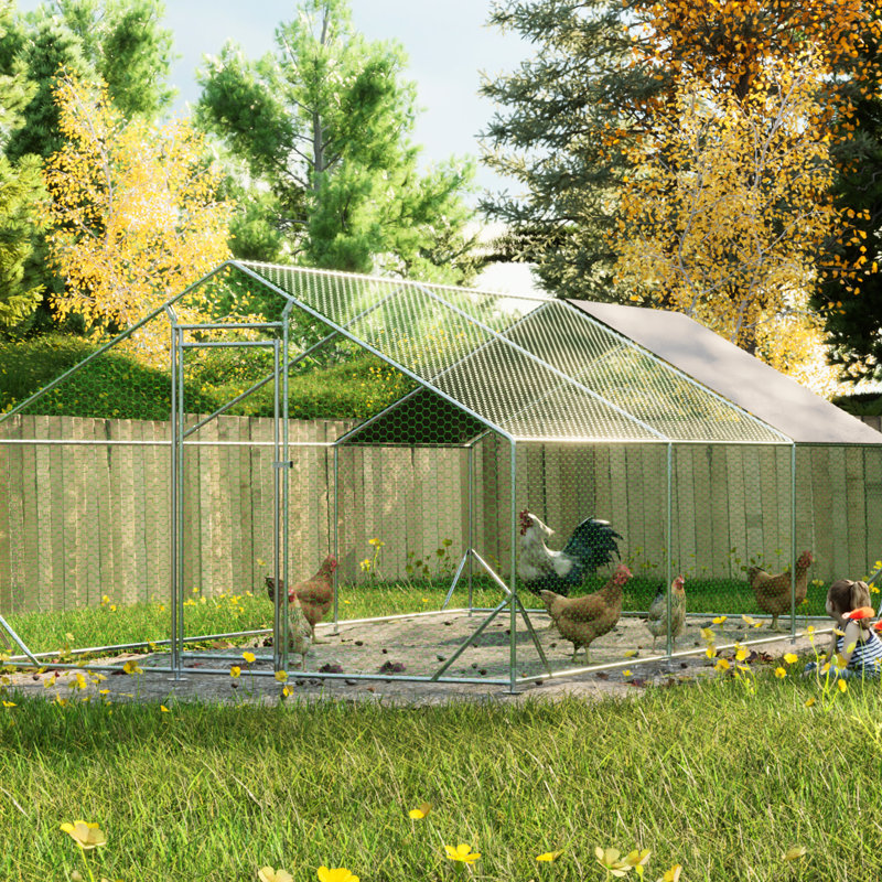 Grande cage en métal galvanisé avec volaille et protection contre le soleil et la pluie pour poulets et lapins à la ferme L 10 pi x l 20 pi