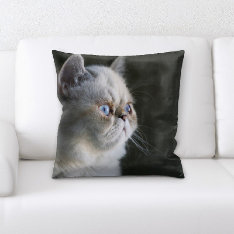 Coussin pour chat