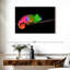 Caméléon à dégradé de couleurs Brampt-108123213