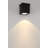 Arena 100 Ceiling Mount, 14W, Black Finish