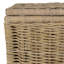 17 Stories Alisyn Rattan Decorative Basket