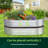 Kynia Plants & Flowers Garden Art