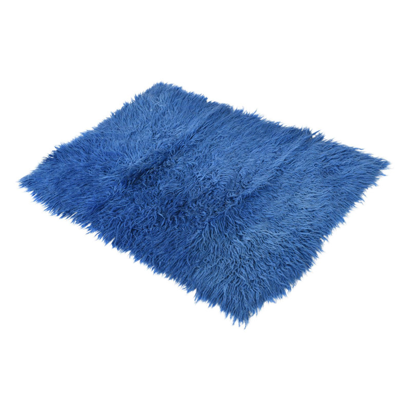 Iraheta Blue Rug