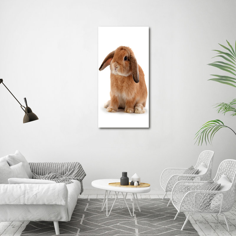 Rabbit - Wrapped Canvas Print