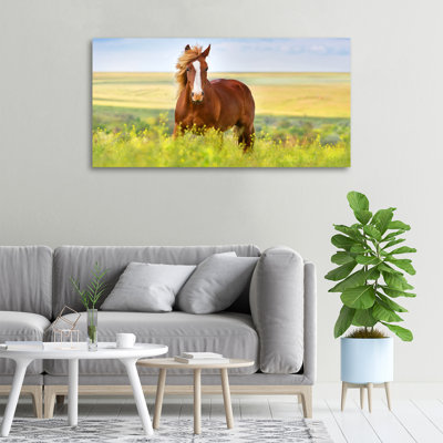 Brown Horse - No Frame Print on Canvas