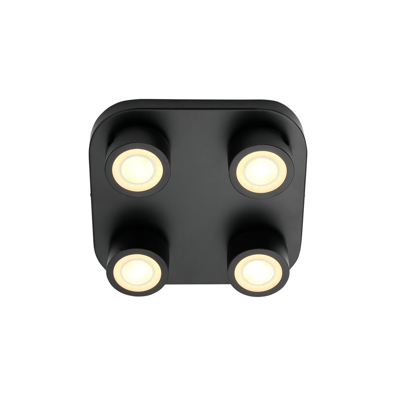Flush Mount