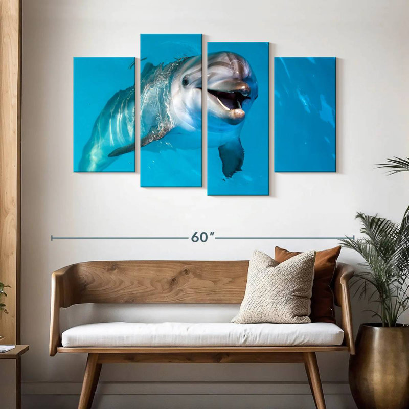 Brampt Dolphin's Smile