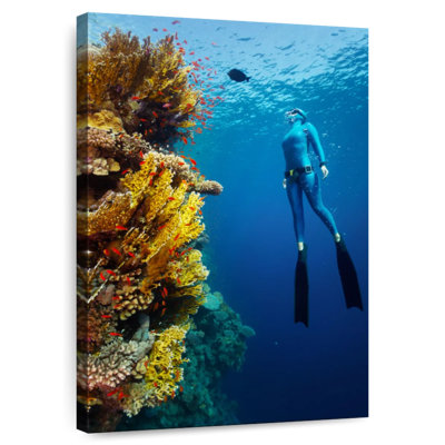 Sireci Coral Reef Freediving