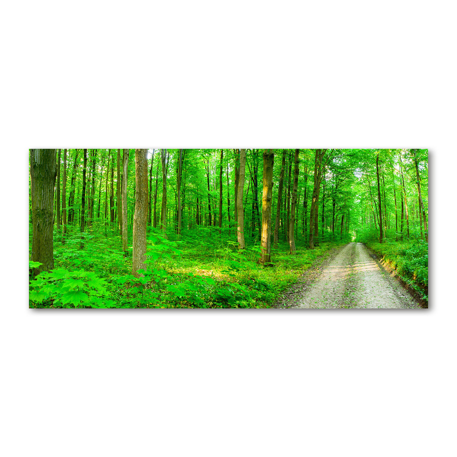 Union Rustic Trees in the Forest - Wrapped Canvas Art Prints | Wayfair.ie