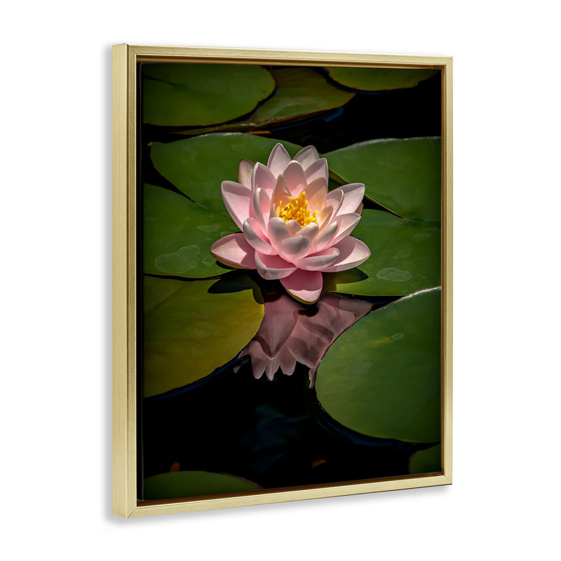Cadre flottant rose lotus parmi des nénuphars, design par Phillip Flowers, H 21 po x l 17 po, Cadre flottant métallique doré