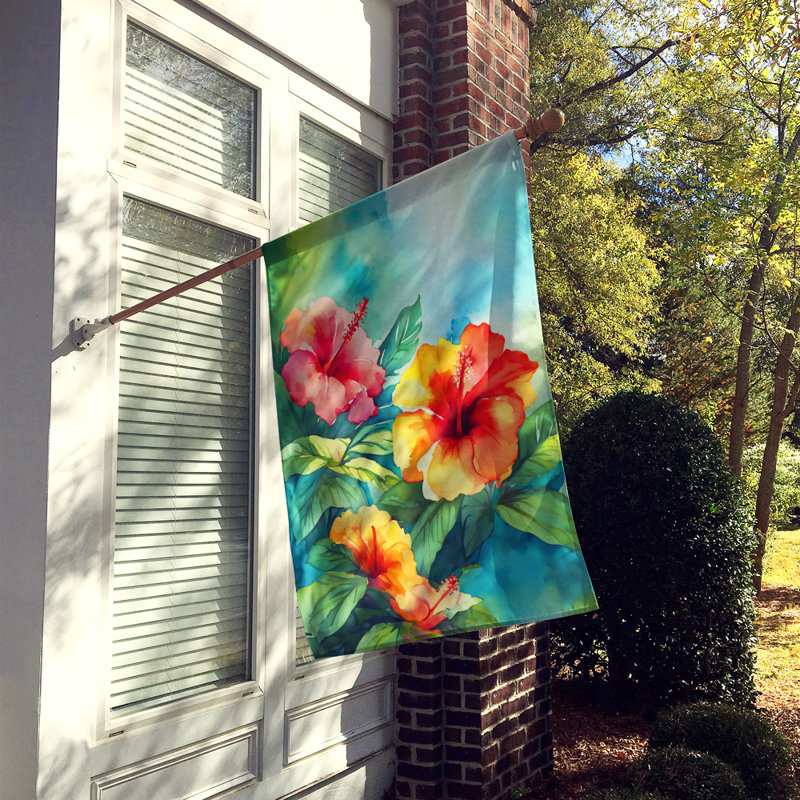 Double Sided 40'' H x 28'' W Polyester House Flag