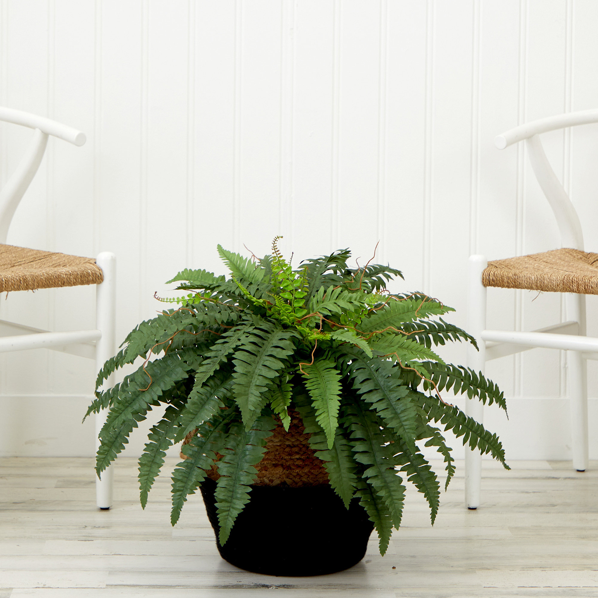 Primrue Arago 20'' Faux Fern Plant in Cotton Basket & Reviews | Wayfair