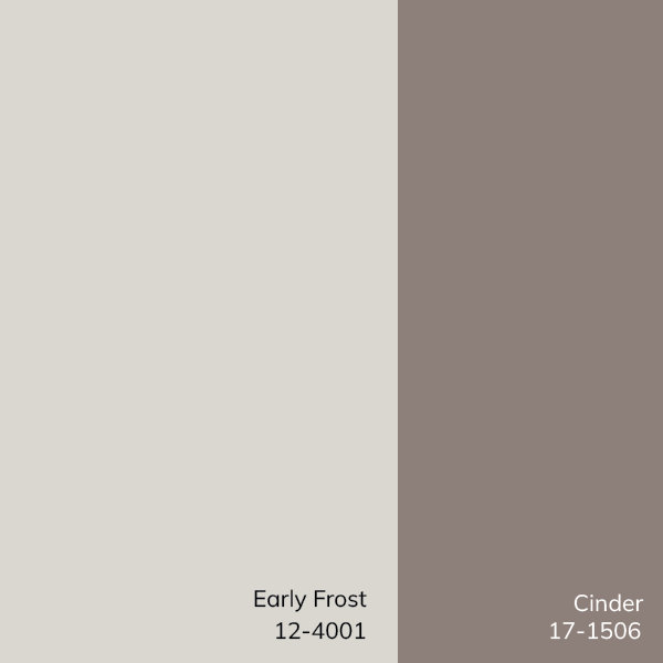 Calvo Light Beige/Charcoal Area Rug