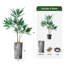 66 plantes-97700194
