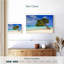 Arbre Aruba Gillard Divi Divi-107923373