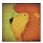 « lion wow », art sur toile-31880391