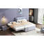 Full Size Upholstered Bed With Trundle - Grey. Solid Wood Build. Linen Leather Headboard. No Box Spring Grey Platform Adjustable Comfortable Sleep
